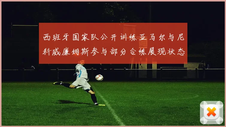 西班牙国家队公开训练亚马尔与尼科威廉姆斯参与部分合练展现状态