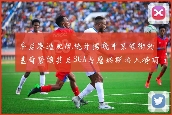 季后赛造犯规统计揭晓申京领衔约基奇紧随其后SGA与詹姆斯均入榜前十